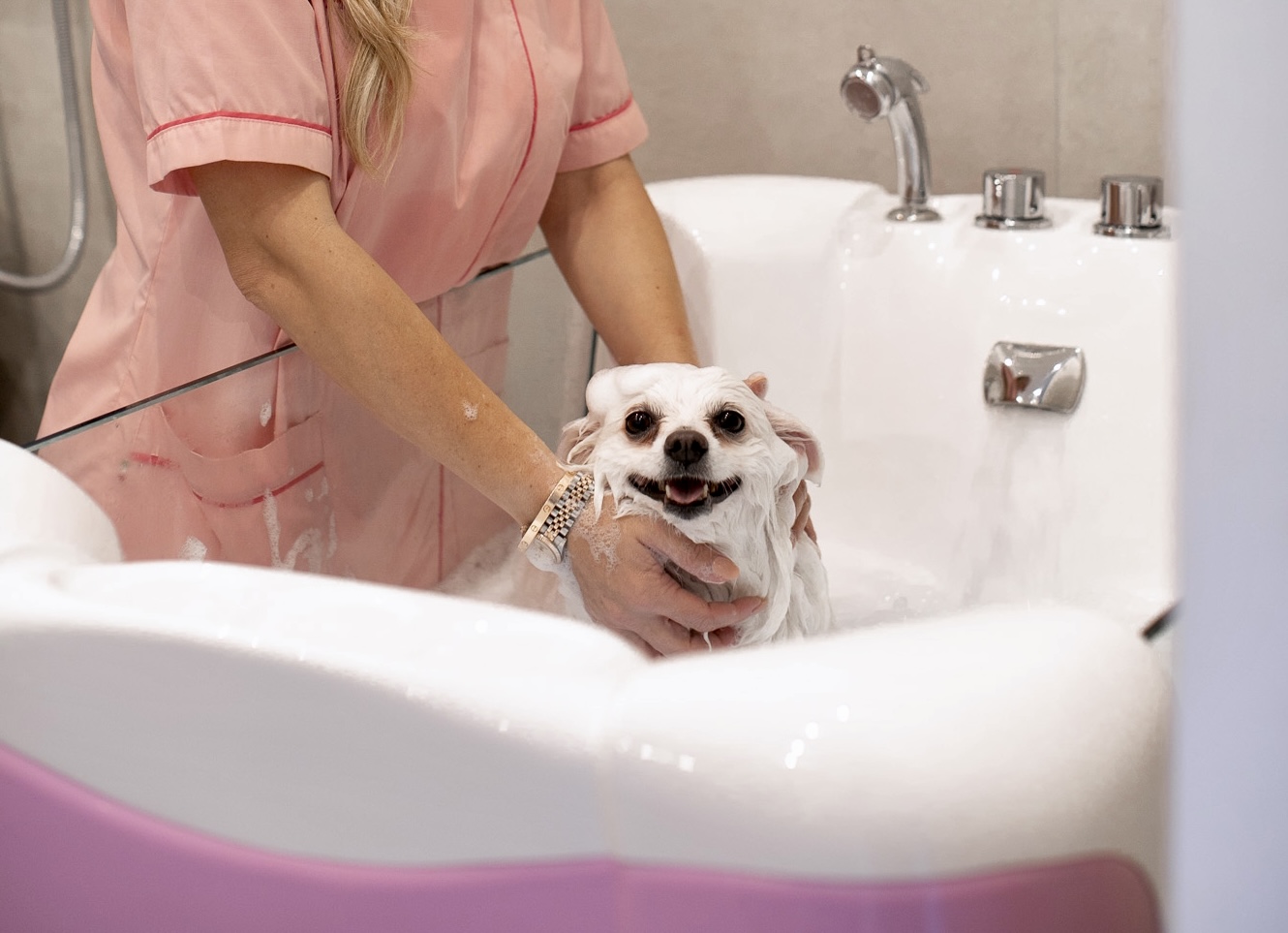 Toelettatrice lava un cane di piccola taglia nella vasca professionale con acqua e schiuma
